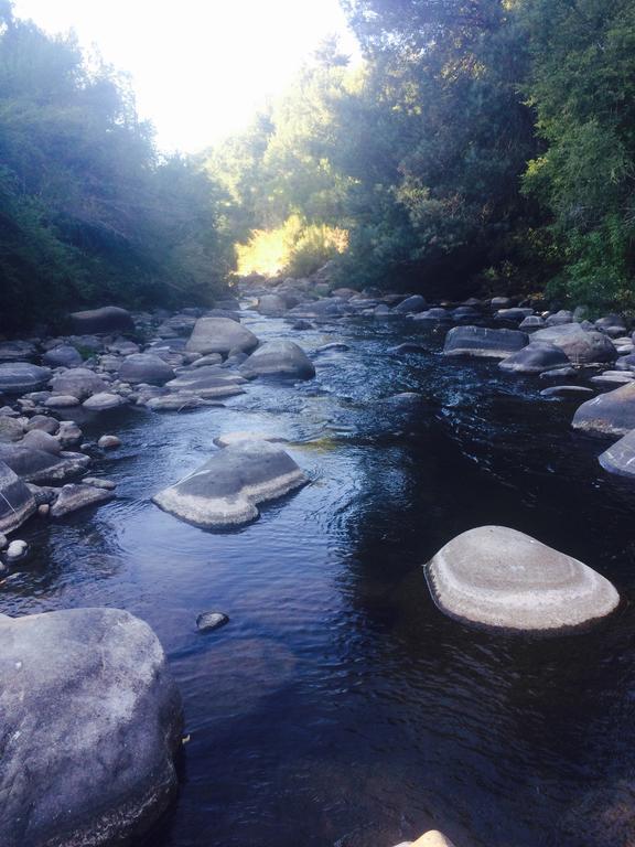 Cabanas Rahue Vilches Dış mekan fotoğraf