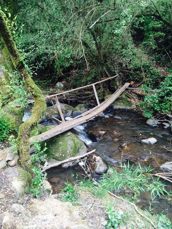 Cabanas Rahue Vilches Dış mekan fotoğraf