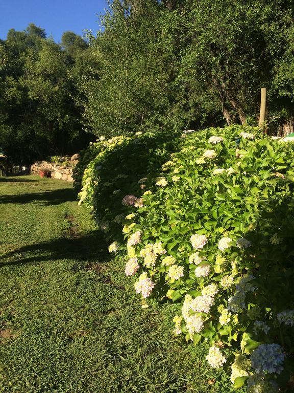 Cabanas Rahue Vilches Dış mekan fotoğraf