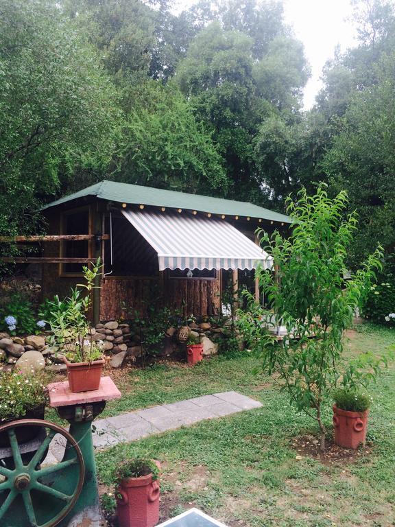 Cabanas Rahue Vilches Dış mekan fotoğraf